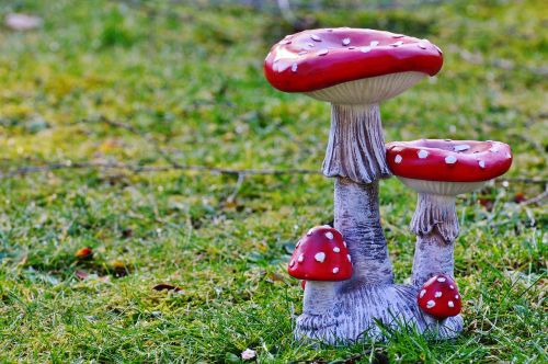 mushrooms garden deco