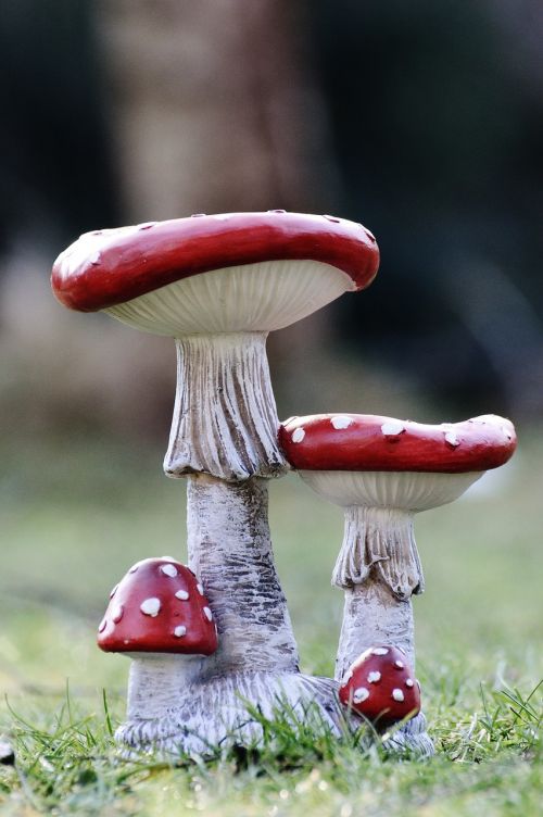mushrooms garden deco