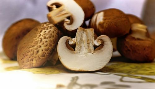 mushrooms brown food