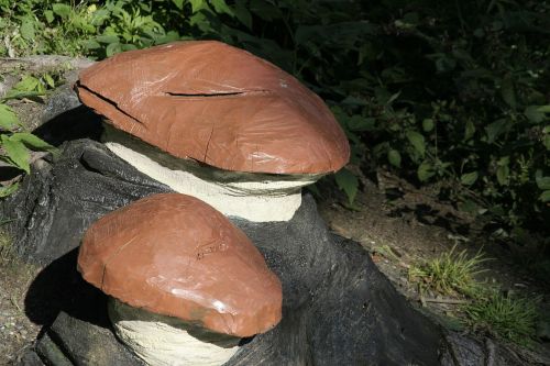mushrooms art dummy
