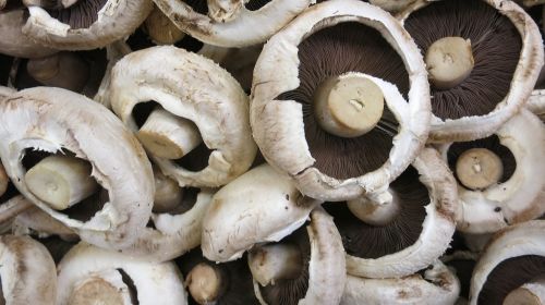 mushrooms button fresh