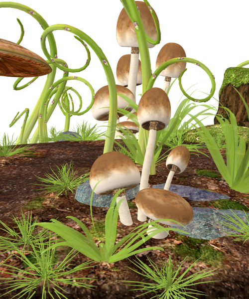 mushrooms hell forest