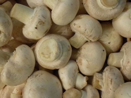 mushrooms vegetable supermarket