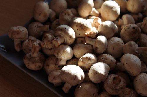 mushrooms white mushroom