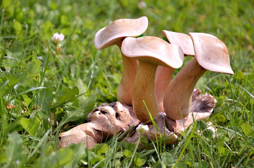 mushrooms  wood  figure