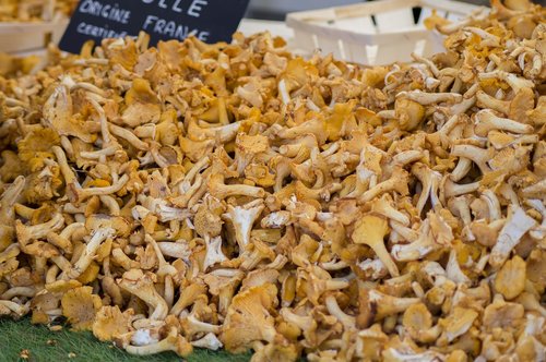 mushrooms  chanterelle mushrooms  market