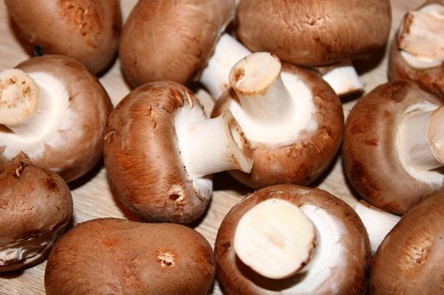 mushrooms  food  healthy