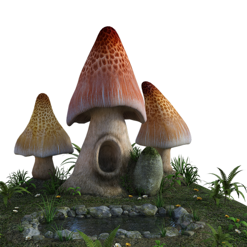 mushrooms  3d  pond