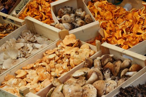 mushrooms chanterelles market
