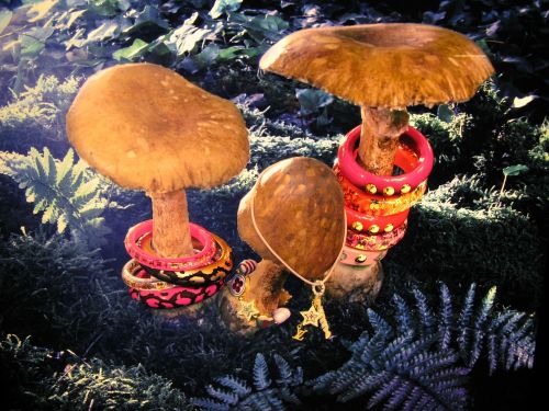 mushrooms mushroom and design