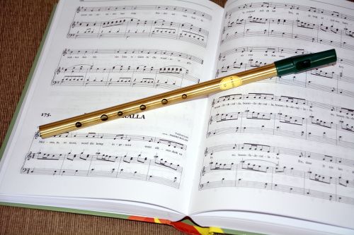 music irish flute music book