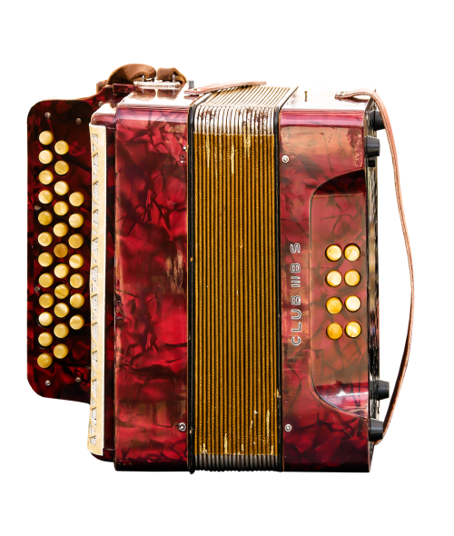 music accordion musical instrument