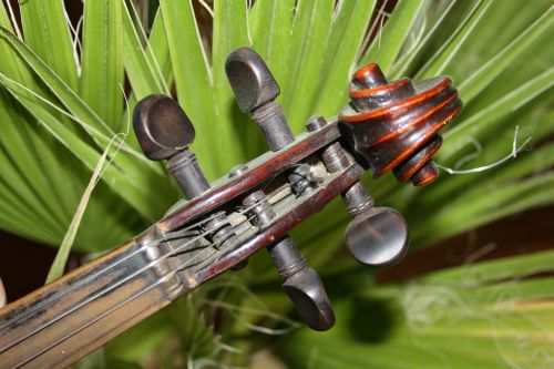 music violin notenblatt