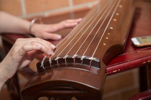 musical instrument  music  string