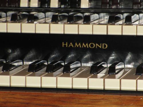 musical instruments organ hammond