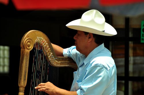 musician harp puebla