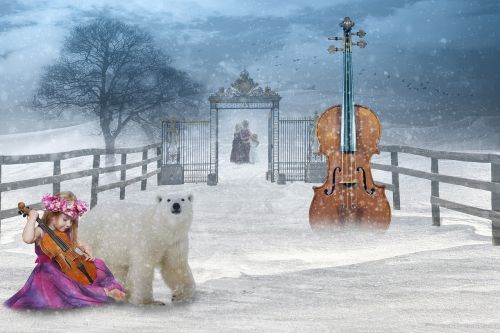 musician snow performance