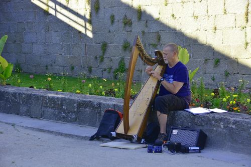 musician music harp