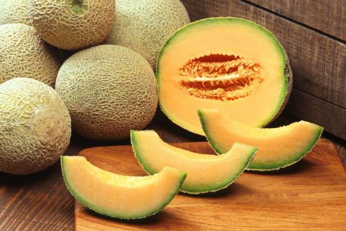 muskmelons cantaloupes fruit