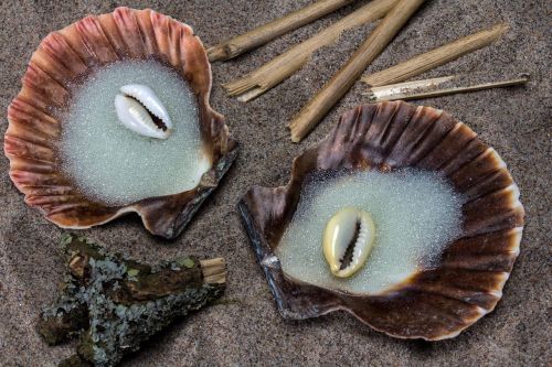 mussels sand straw