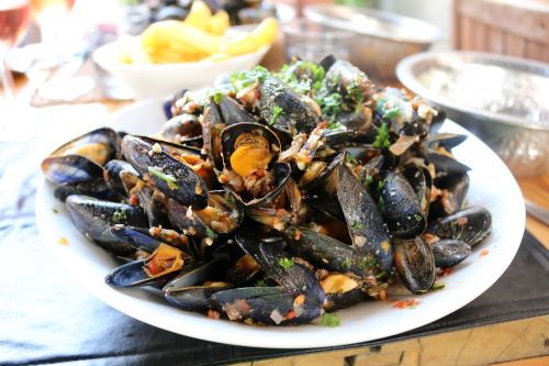 mussels eat food