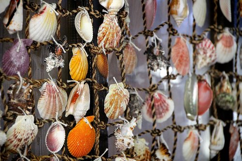 mussels  deco  decoration