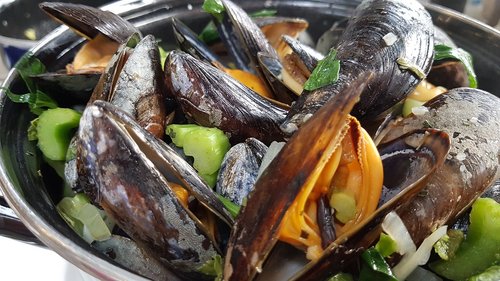 mussels  food  shellfish