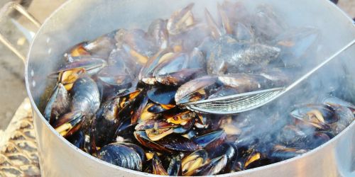 mussels cook pot