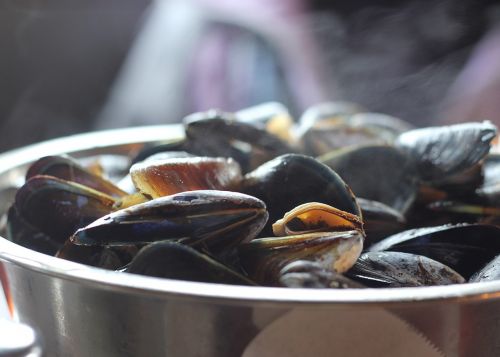 mussels food eat