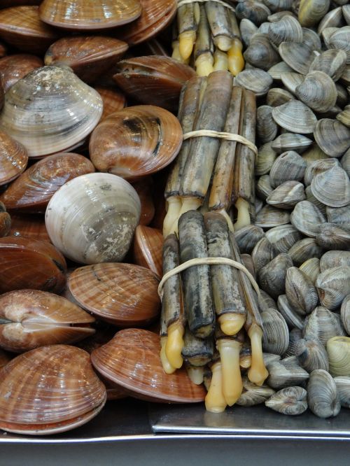 mussels market malaga