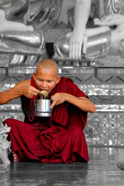 myanmar burma monk