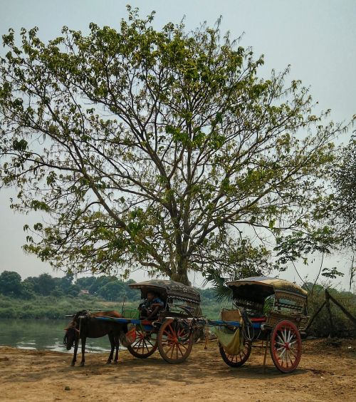 myanmar horse cart