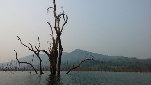 myanmar jungle river