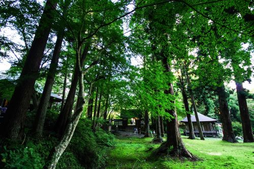 mysterious mountain japan