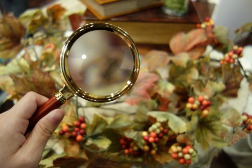 mystery magnifying glass autumn