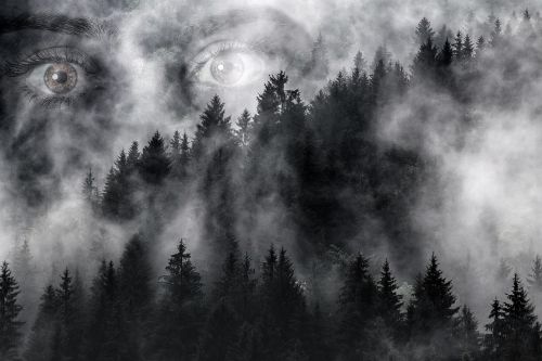 mystical clouds trees