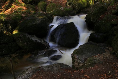 mystical  waterfall  hiking