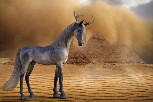 myth  horse  desert