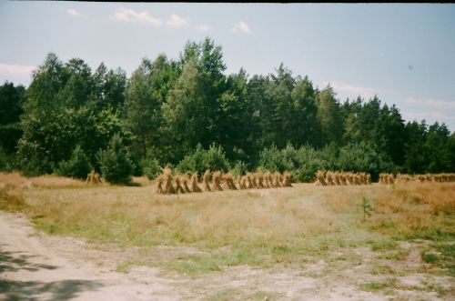 Nadrzecze, Poland