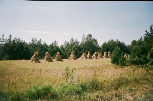 Nadrzecze, Around Bilgoraj, Poland