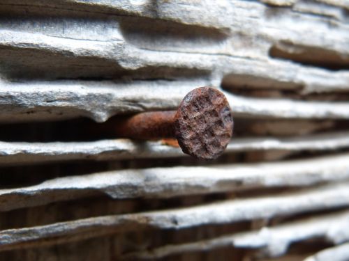nail iron wood