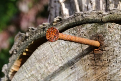 nail  rust  wood