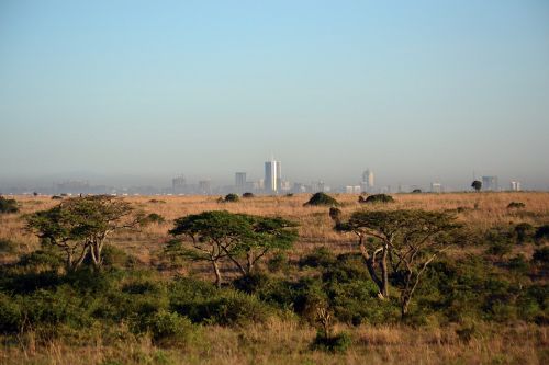 nairobi kenya africa cityscape