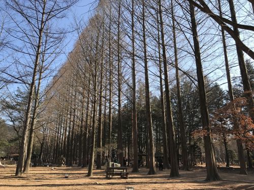 nami island winter cold