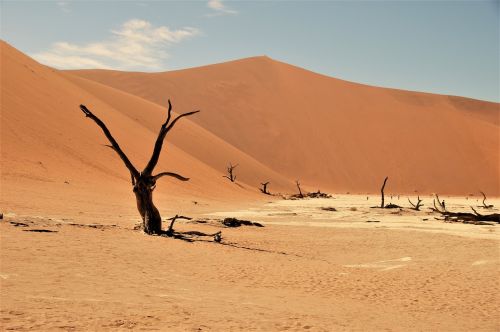 namib desert namibia desert