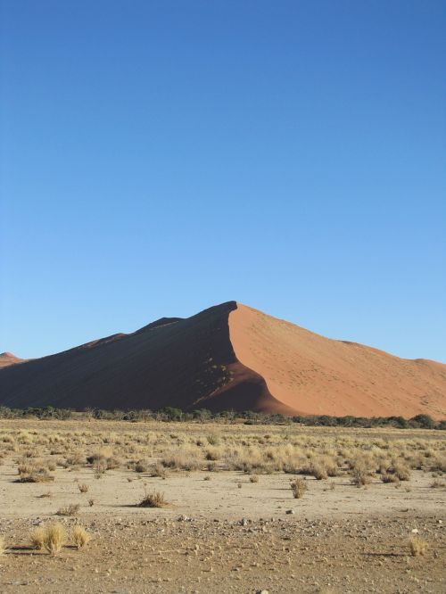 namibia dune nature