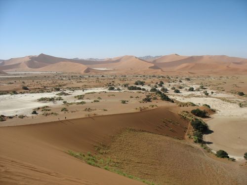 namibia namib desert