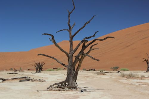 namibia desert sand