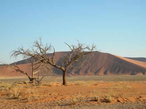 namibia namib desert