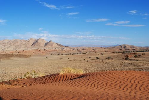 namibia africa desert